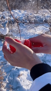 Snow Ball Maker - Wholesalus