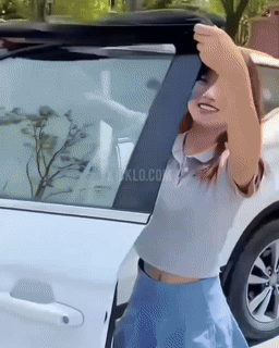 Car Window UV Sunshade Curtains - Wholesalus