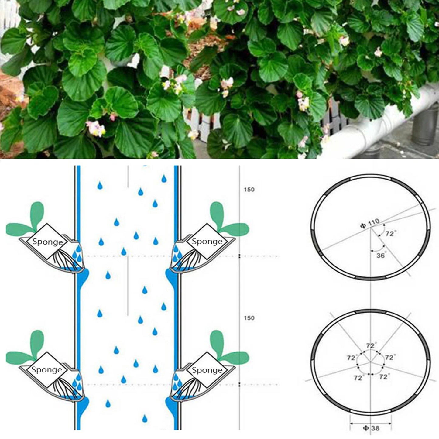 Hydroponic Garden Planting Cups - Wholesalus