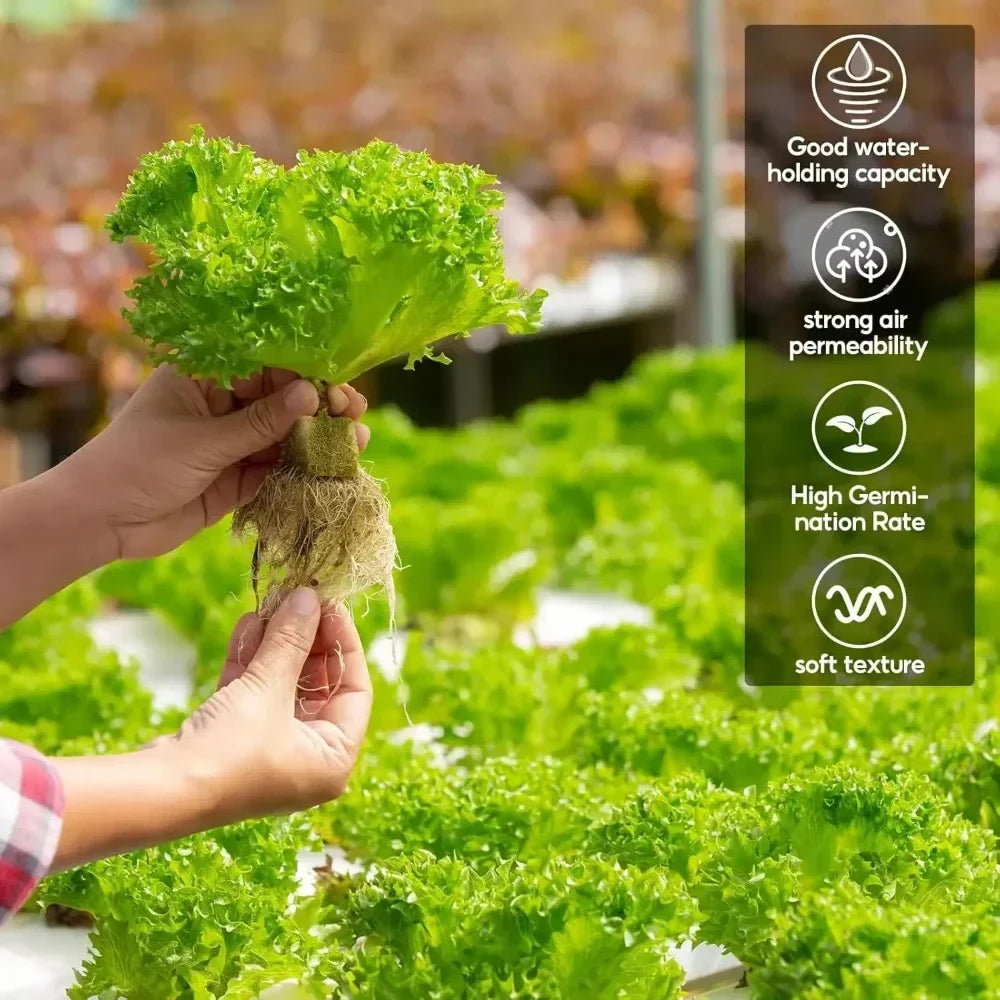 Soil-less Hydroponic Vegetable Planting Cube - Wholesalus