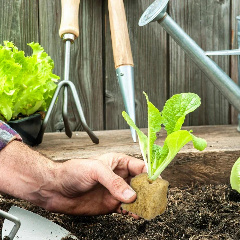 Soil-less Hydroponic Vegetable Planting Cube - Wholesalus