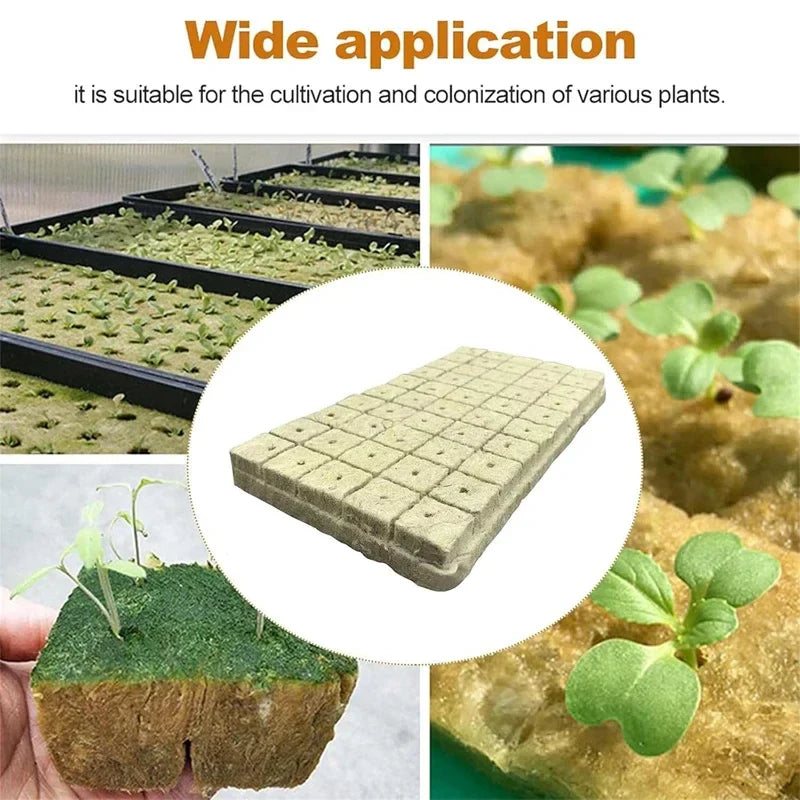 Soil-less Hydroponic Vegetable Planting Cube - Wholesalus