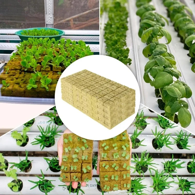 Soil-less Hydroponic Vegetable Planting Cube - Wholesalus