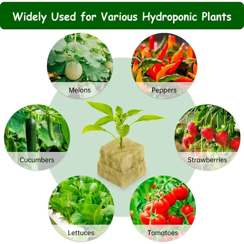 Soil-less Hydroponic Vegetable Planting Cube - Wholesalus