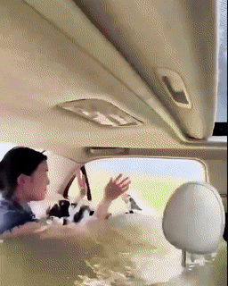 Multifunctional Car Safety Hammer 2PCS - Wholesalus