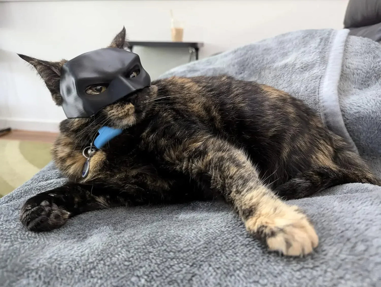 Pet Bat Man Mask - Wholesalus