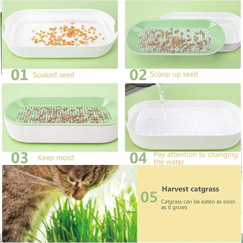 Hydroponic Cat Grass Pot Set - Wholesalus