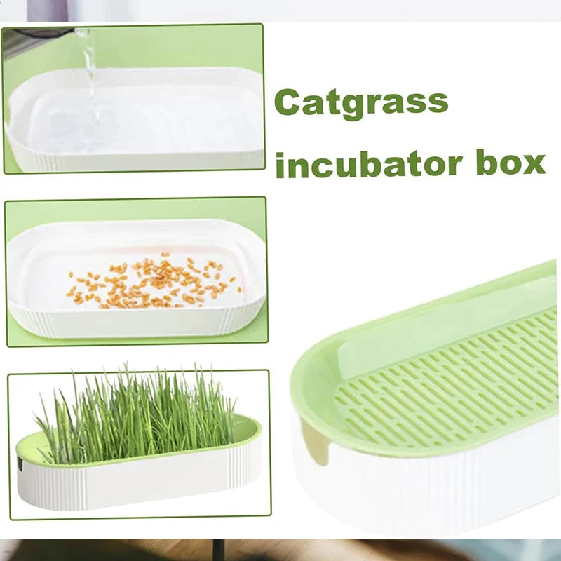 Hydroponic Cat Grass Pot Set - Wholesalus