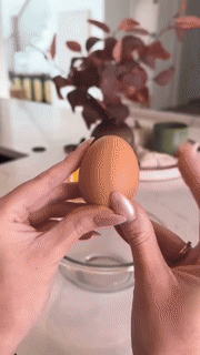 Egg Yolk Separator - Wholesalus