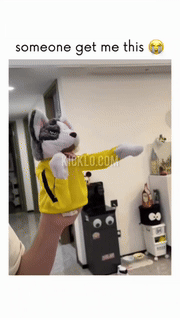 Kung Fu Dog Glove - Wholesalus