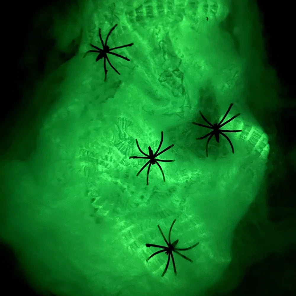 Luminous Spider Web - Wholesalus