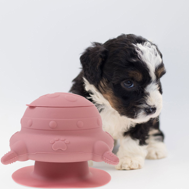 Silicone Kitten Milk Feeder - Wholesalus