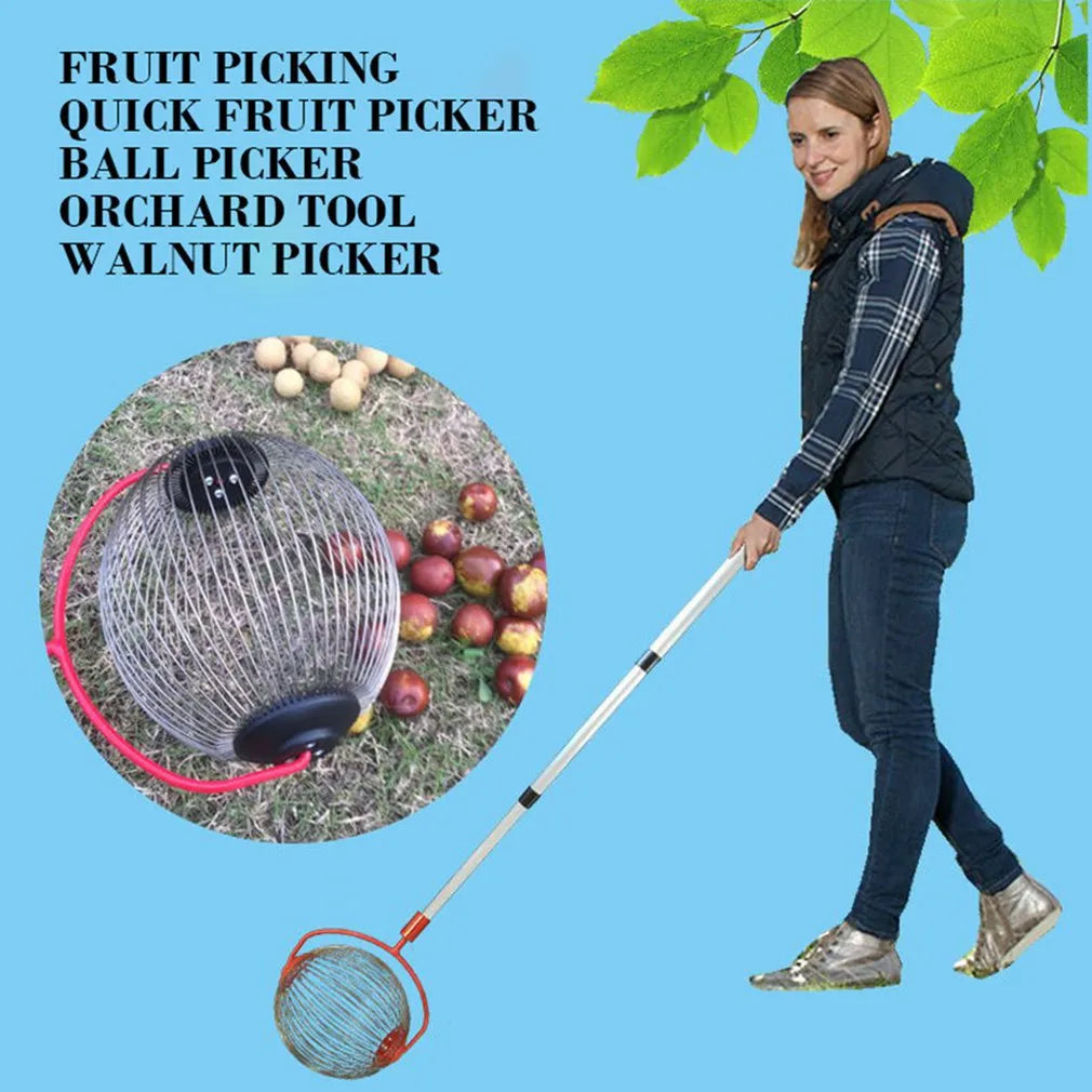 Rolling Nuts Collector - Wholesalus