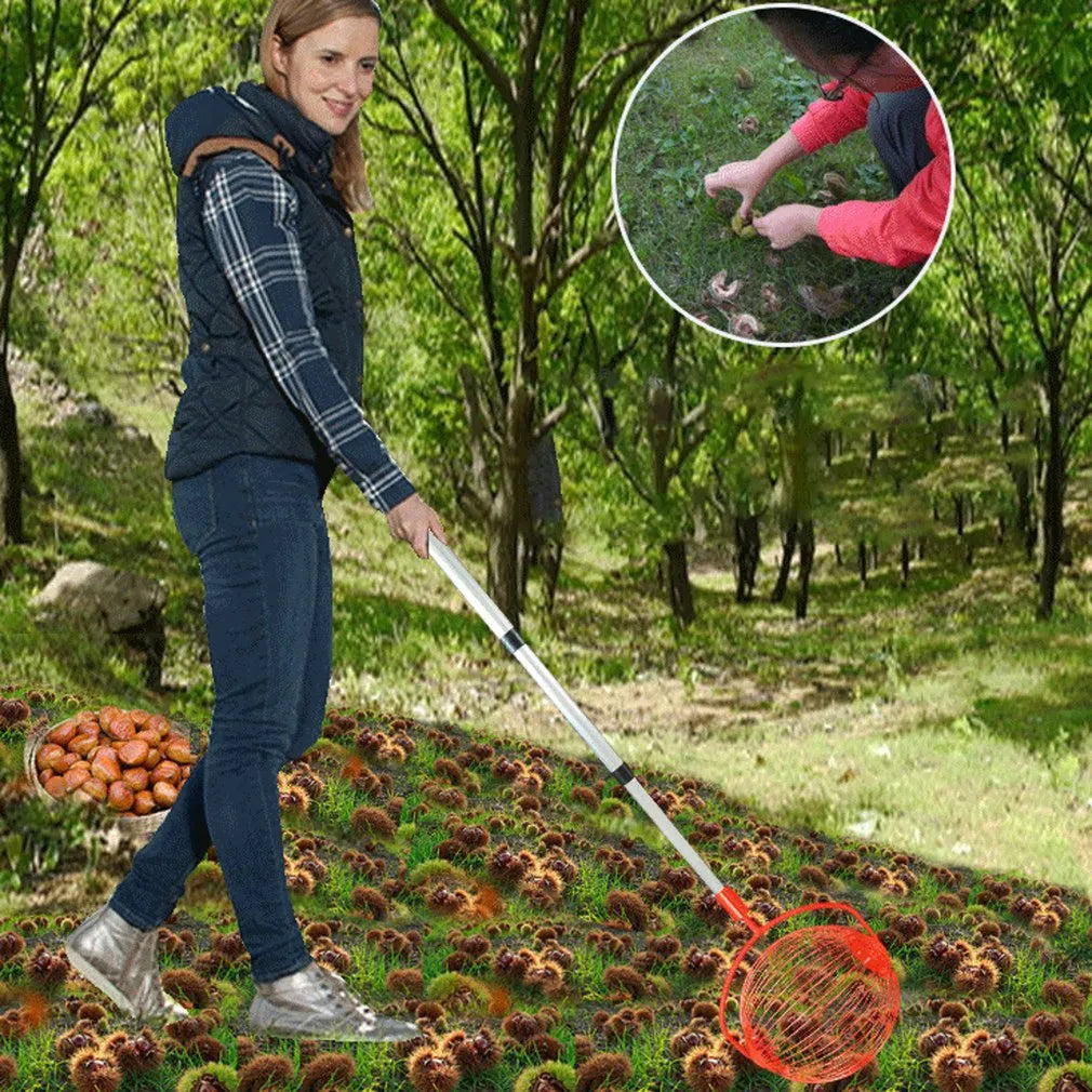 Rolling Nuts Collector - Wholesalus