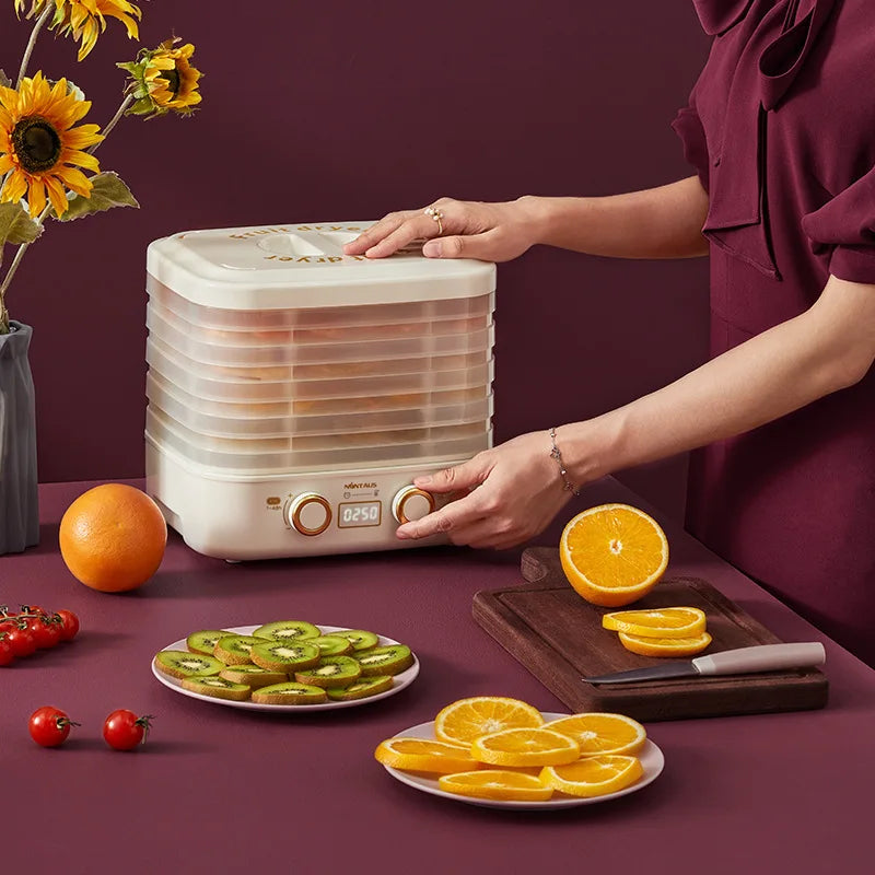 Intelligent Thermostatic Food Dehydrator Machine - Wholesalus