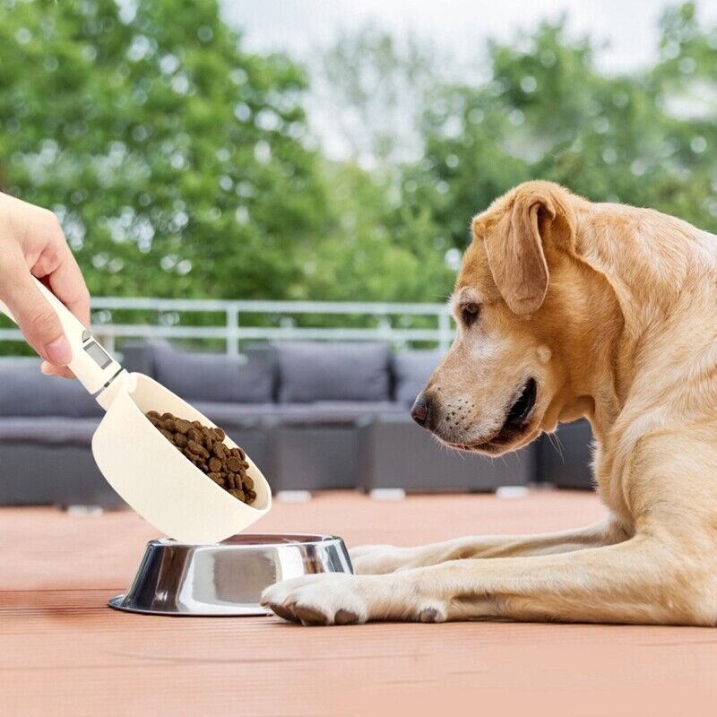 Digital Display Pet Food Scale - Wholesalus