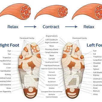 EMS Foot Massager