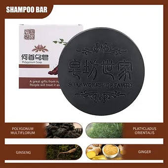 Polygonum Hair Growth Shampoo Bar