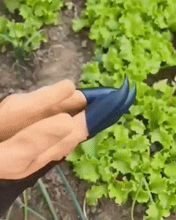 Garden Planting Gloves - Wholesalus