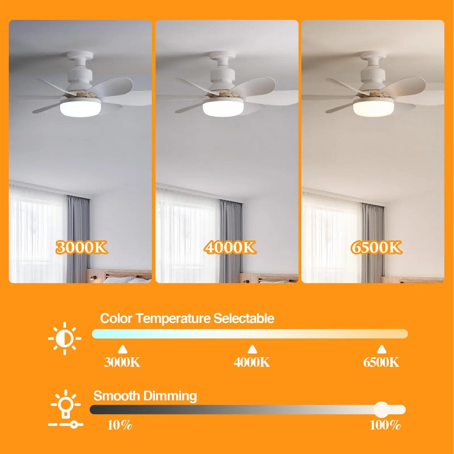 Socket Ceiling Fan with Light