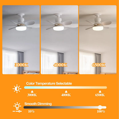 Socket Ceiling Fan with Light - Wholesalus