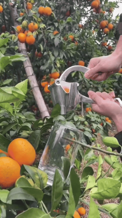 Fruit  Juice Squeezer - Wholesalus