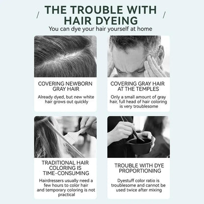 Hair Dye Cream With Comb - Wholesalus