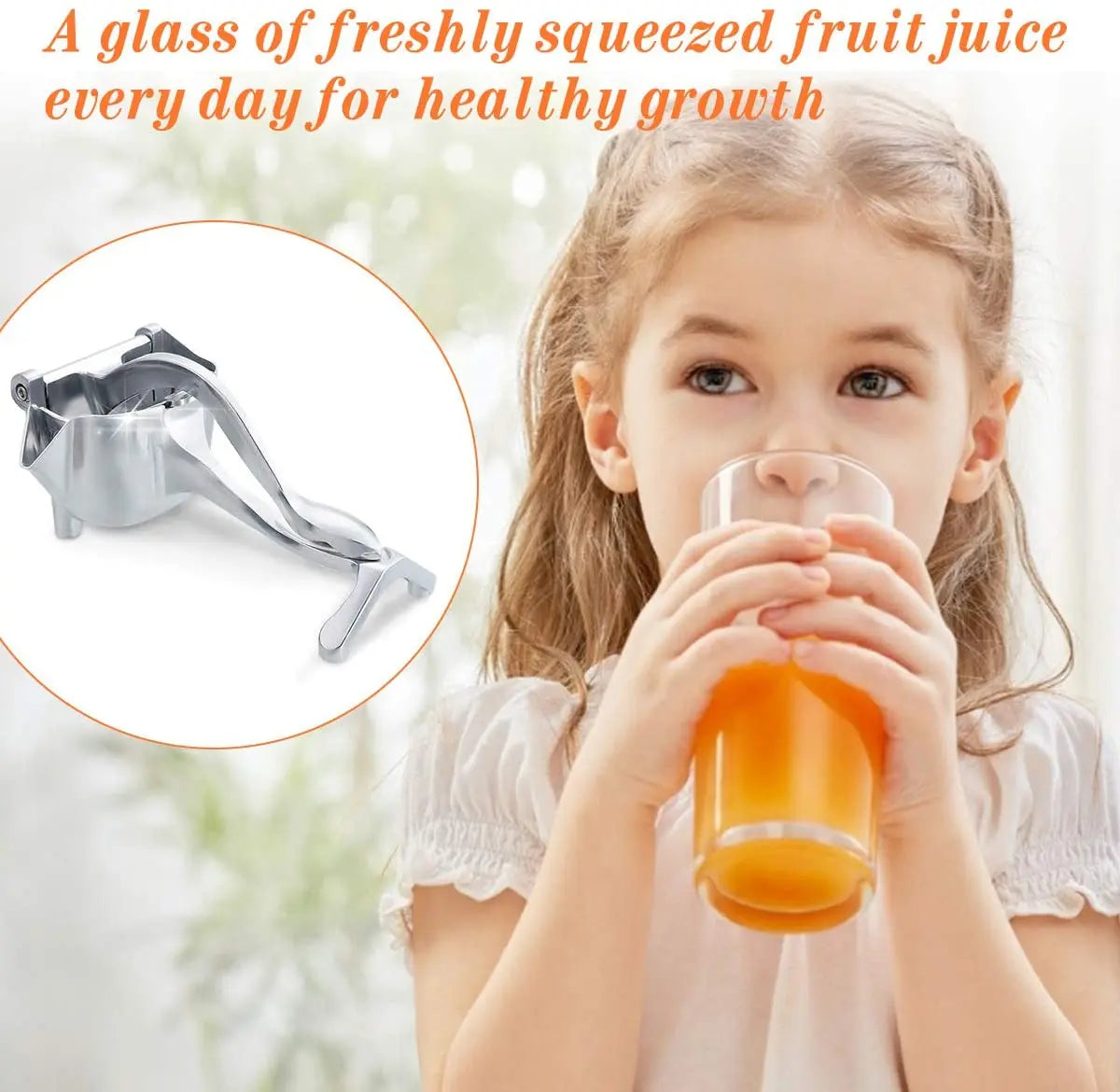 Fruit  Juice Squeezer