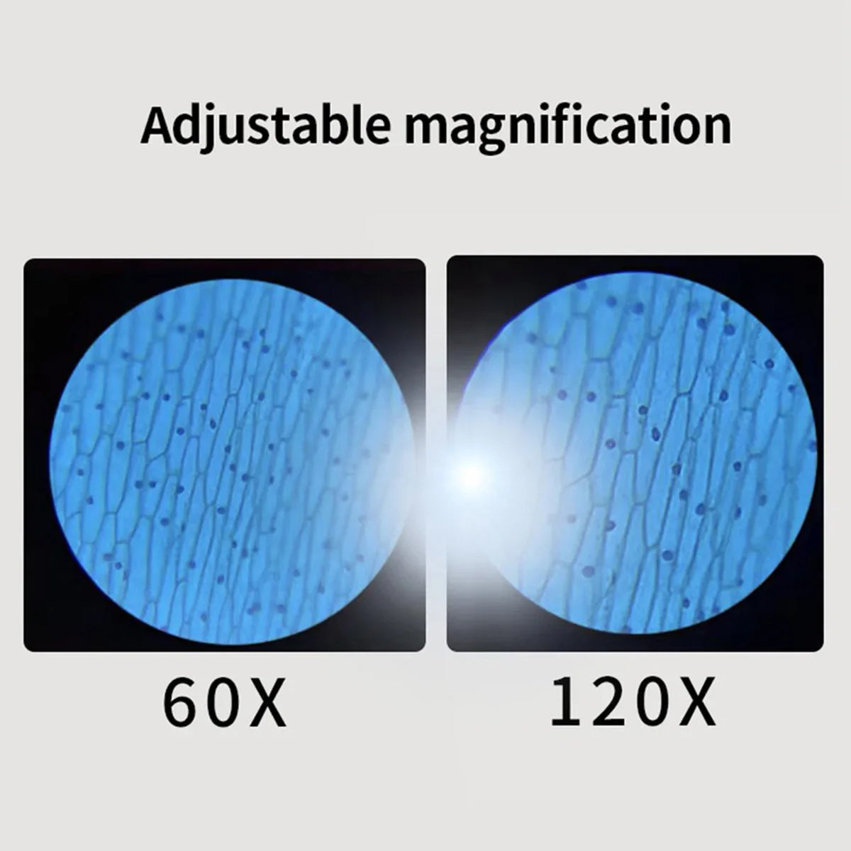 Portable HD Optical Adventure Microscope