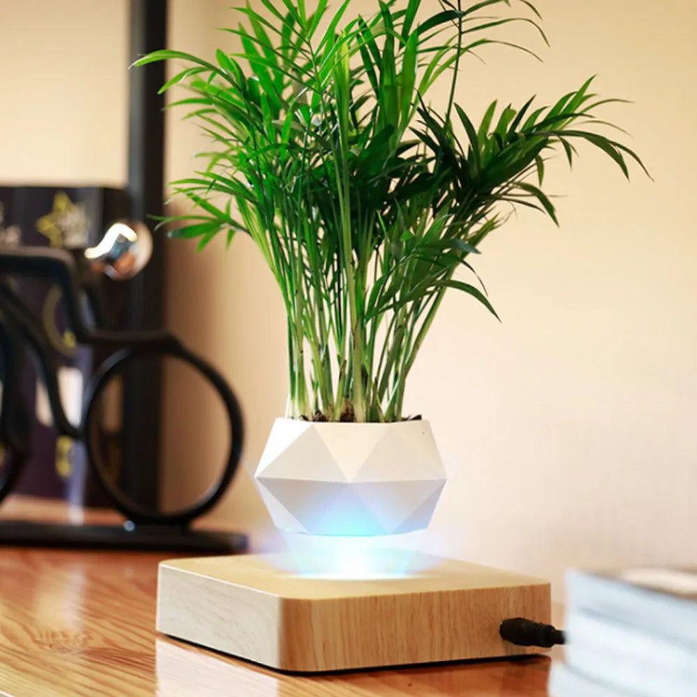 Magnetic Levitation Floating Pot - Wholesalus