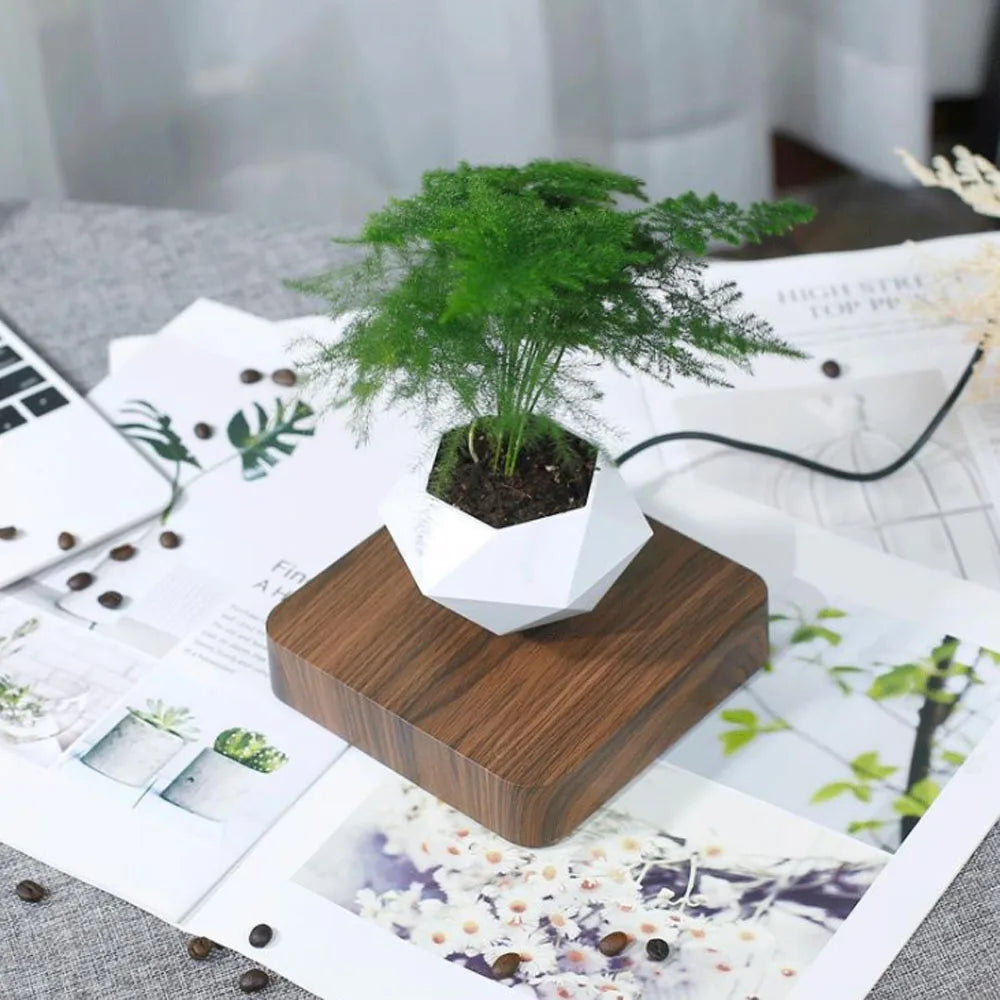 Magnetic Levitation Floating Pot - Wholesalus