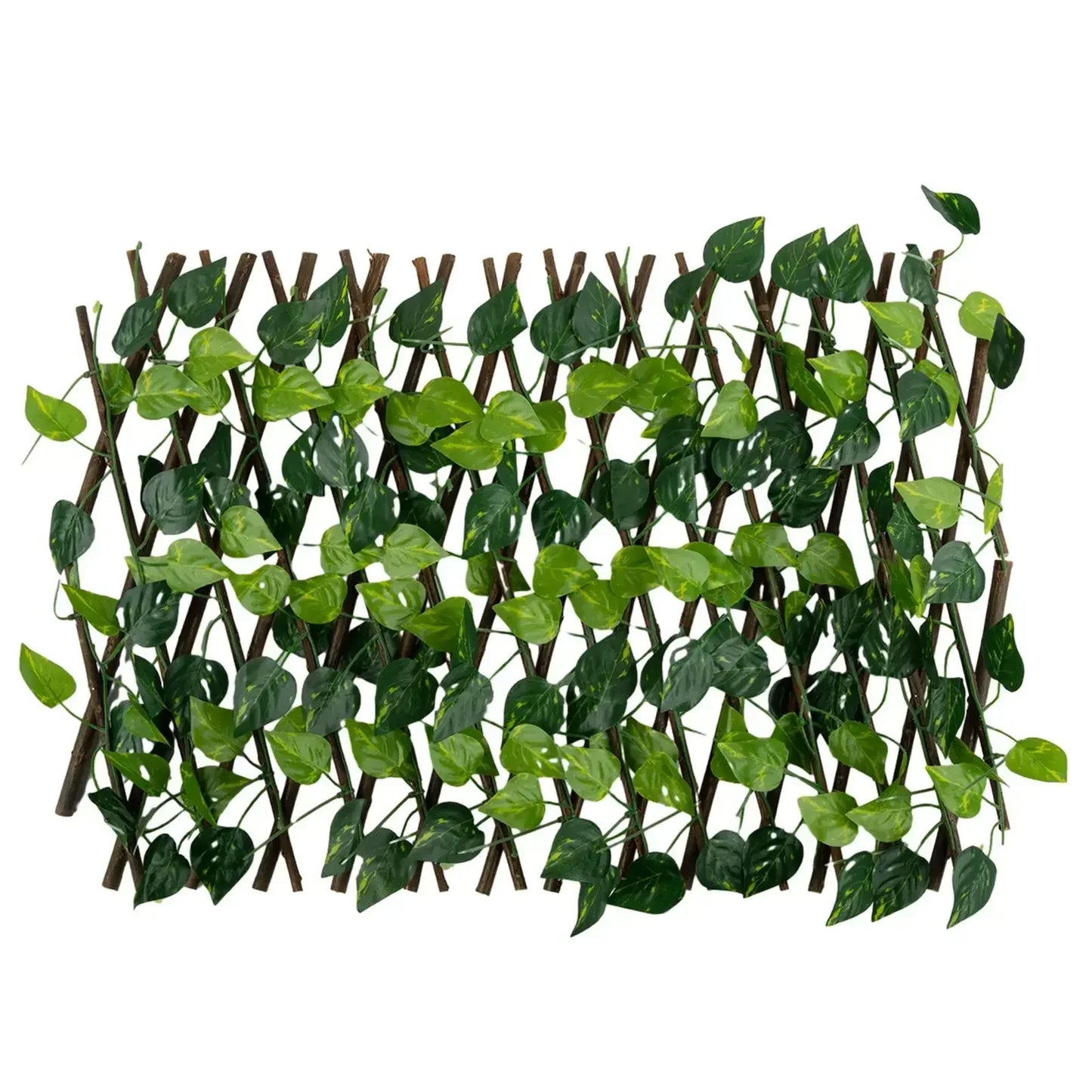 Expandable Decorative Trellis