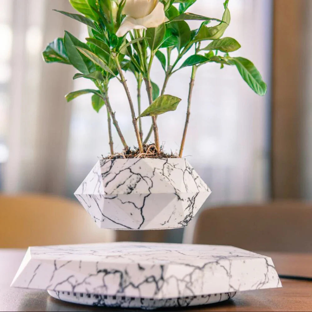 Magnetic Levitation Floating Pot - Wholesalus