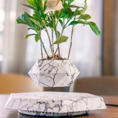 Magnetic Levitation Floating Pot - Wholesalus