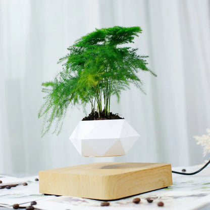 Magnetic Levitation Floating Pot - Wholesalus