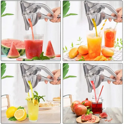 Fruit  Juice Squeezer - Wholesalus