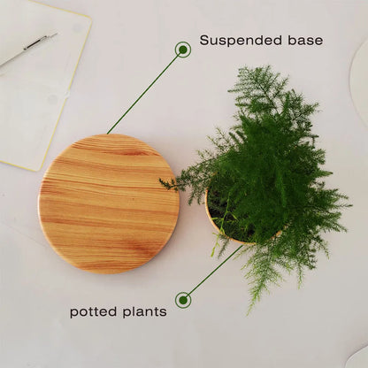 Magnetic Levitation Floating Pot - Wholesalus