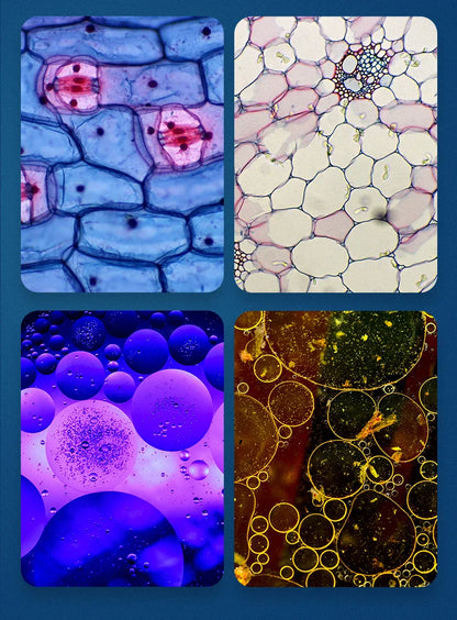 Portable HD Optical Adventure Microscope - Wholesalus