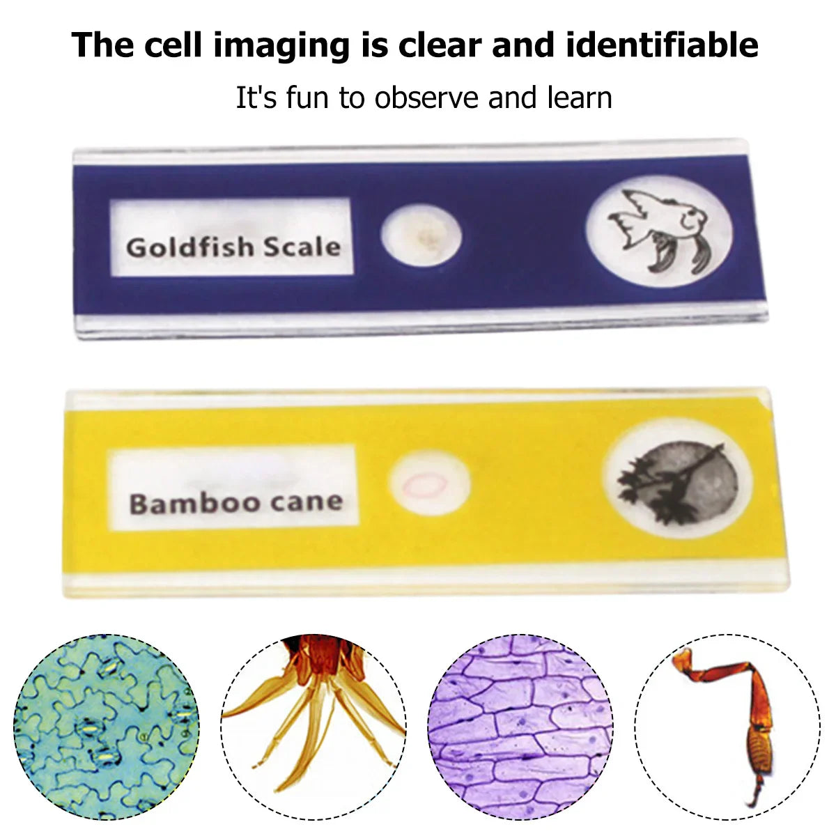 Portable HD Optical Adventure Microscope