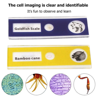 Portable HD Optical Adventure Microscope - Wholesalus