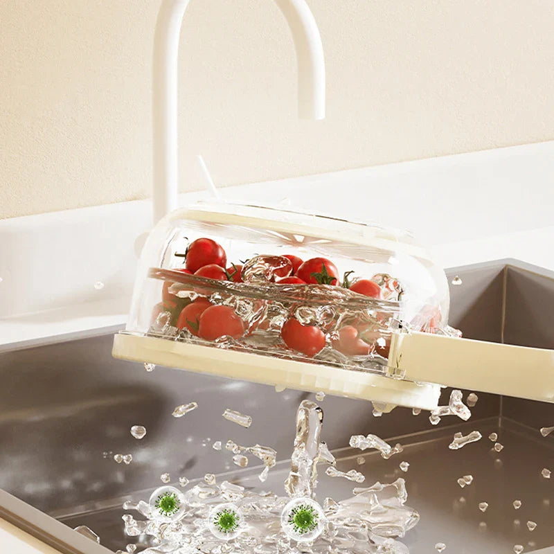 Foldable Handle Drain Basket with Lid