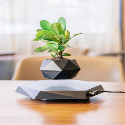 Magnetic Levitation Floating Pot - Wholesalus