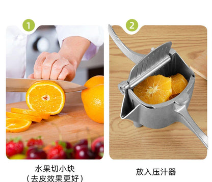 Fruit  Juice Squeezer - Wholesalus