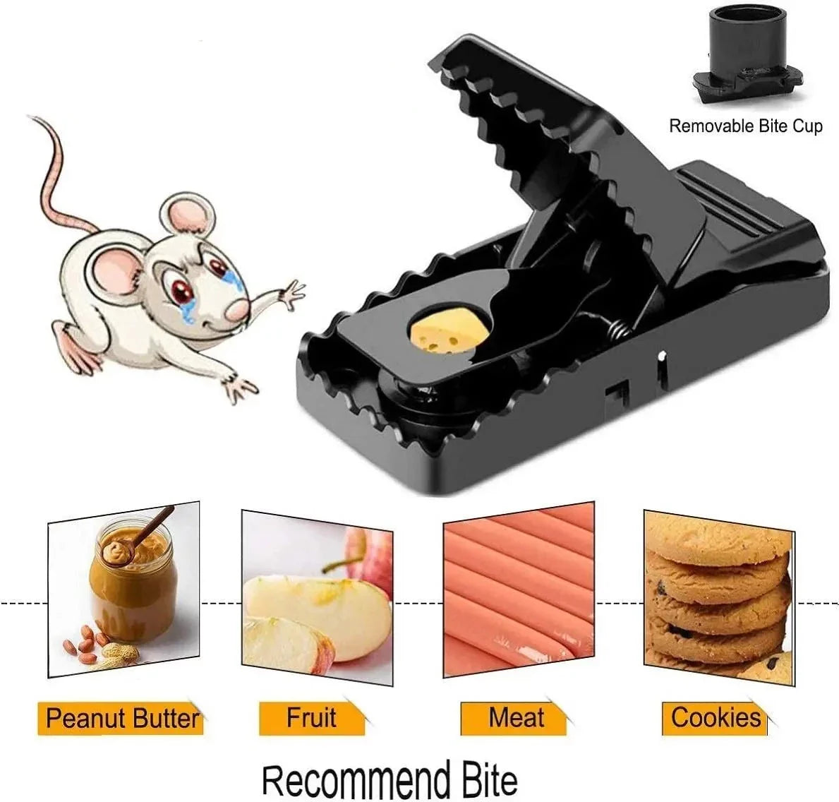 Reusable Mouse Trap