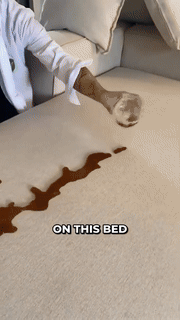 Waterproof Elastic Sofa Cover - Wholesalus