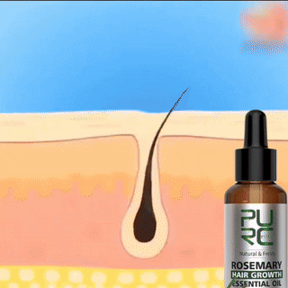 Rosemary Hair Growth Essential Oil - Wholesalus