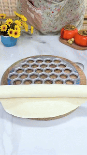 37 Holes Dumpling Mold - Wholesalus