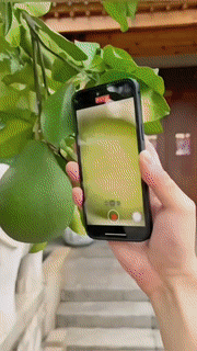 Portable Mobile LED Microscope Lens - Wholesalus