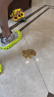 Multi-Functional Lazy Mopping Shoes - Wholesalus
