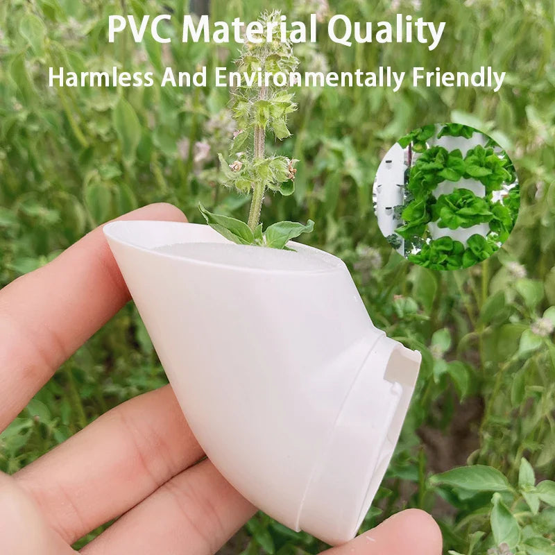 Hydroponic Garden Planting Cups - Wholesalus